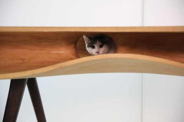 Modern-table-for-cats-5