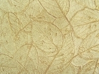 leafy_wallpaper_texture_on_a_wall