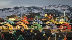 coloured_houses_reuters