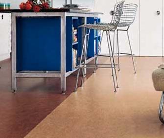 linoleum1
